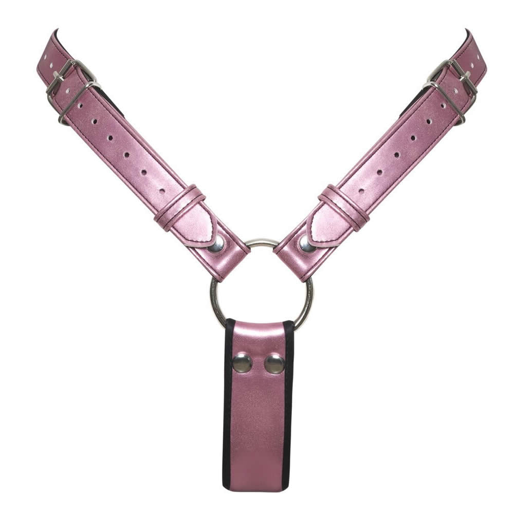 Strap-on Harness & G-streng Trusser med Dildo