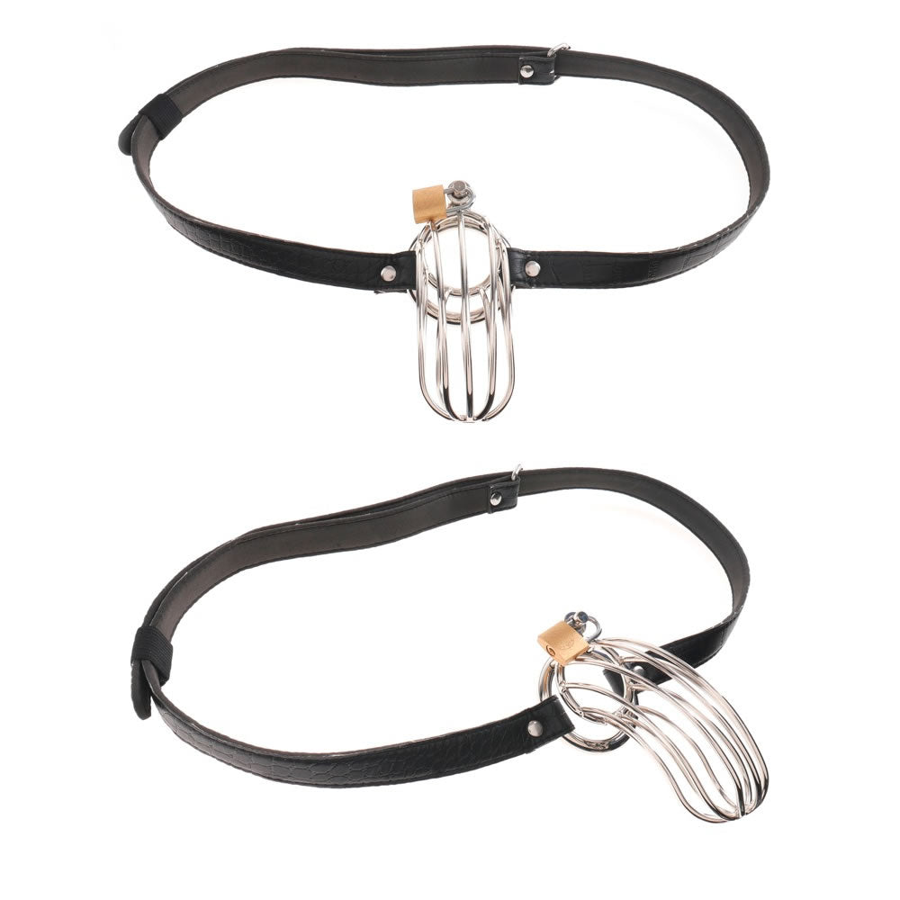 The Prisoner Penisbur